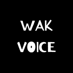 testvoice project image