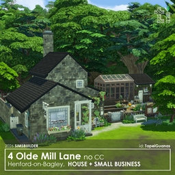 TapeiGuanas - 2026 - 4 Olde Mill Lane logo