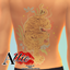 Tiger of Fire logo