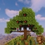 Dynamic Trees Vinery Updated (MuddyPatch) logo