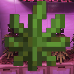 Fern To Hemp logo