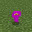 Tap pack logo