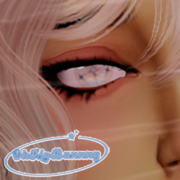 VANNILLA CONTACTS logo