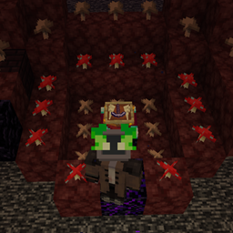 Sixth House Infection project image