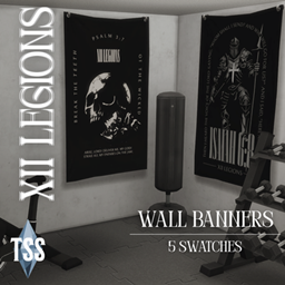 XII Legions Wall Banners project image