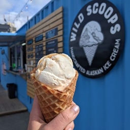Scoop Troop logo