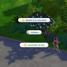 Control Any Sim – Reborn logo