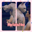 My Fated One logo