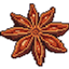 Anisum logo
