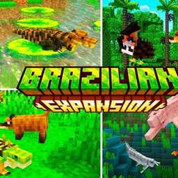 Brazil Expansion logo