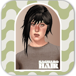 SAGUARO HAIR logo