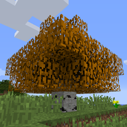 Autumn Trees project image