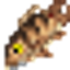 Cá Rô Cây logo