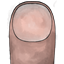 Gros Orteil logo