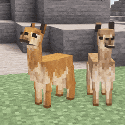 Animal Garden - Vicuna logo