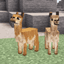 Animal Garden - Vicuna logo