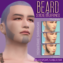 Shiraishi's Beard and Sideburns logo