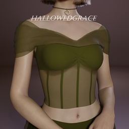 Off Shoulder Corset project image