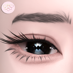 [Learxfl] Dixie Eyebrows logo