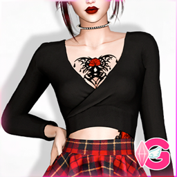 Long Sleeve Wrap V-Neck Crop Top logo