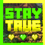 Stay True Amendments logo