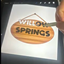 Willow Springs logo