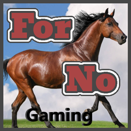 ForNoGaming project image