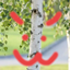 dumb birches play block game logo