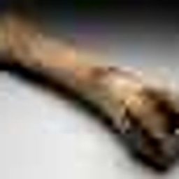 Project Bones project image