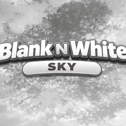 Black n white sky logo