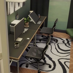 Modern Stylish Home Office project image
