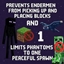 No Enderman/Creeper Griefing & No Phantom Attacks (Achievement friendly) logo