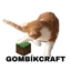 GombikCraft logo