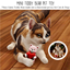 Mini Teddy Bear Pet Toy logo