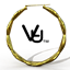 Gold Bamboo hoop earrings logo