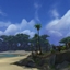 Island Looter logo