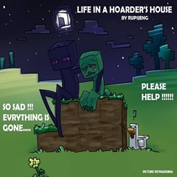 Life in the hoarder's house