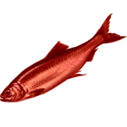 RedHerring logo