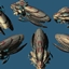 SCSurvivors Art Mod