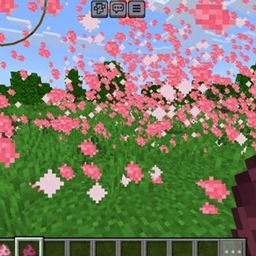 Cherry blossom STORM recall project image
