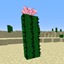 Simple Cactus Flower Backport logo