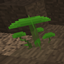 Simple Glowing Mushrooms logo