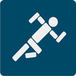 Speed Stick logo