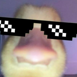 ChillCraftWIth Mods logo
