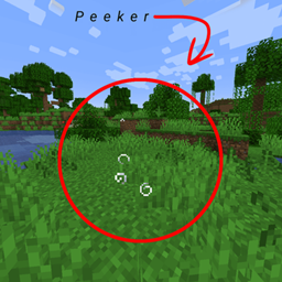 Peek3r