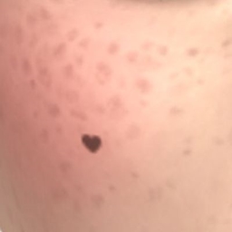 Heartshaped Mole Vanilla Cream project image