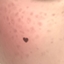 Heartshaped Mole Vanilla Cream logo