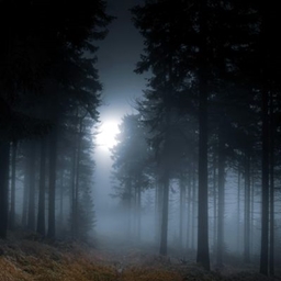 Canadian Wilderness (Horror) project image