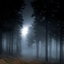 Canadian Wilderness (Horror) logo