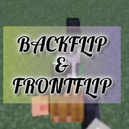 Backflip and frontflip project image